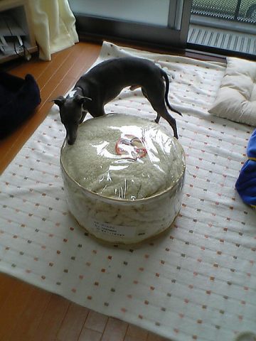 c0003217_2121630.jpg