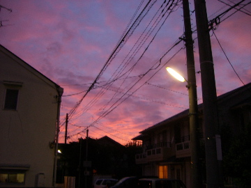 c0083618_1142585.jpg
