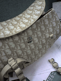 d0038319_15273077.gif