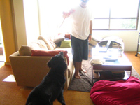 c0012120_140523.jpg