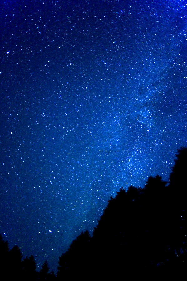 f0035323_4574465.jpg
