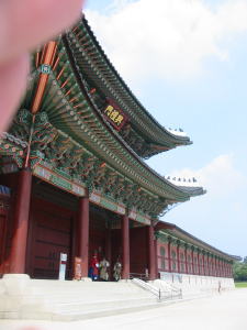 b0028524_828765.jpg