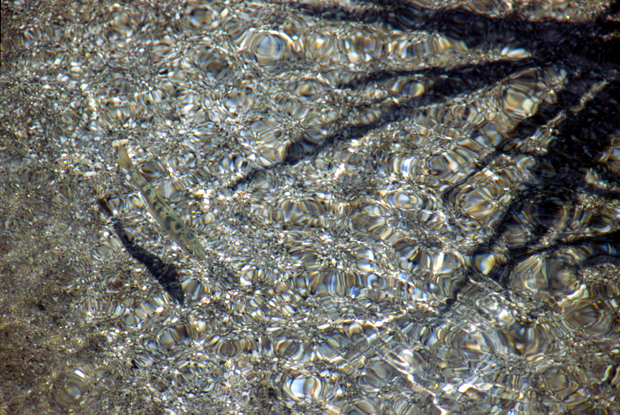 f0081726_18575748.jpg