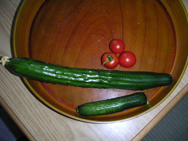 a0020929_20343160.jpg