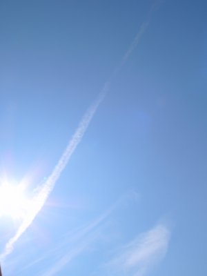 d0018131_11424621.jpg