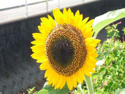 f0008935_1412490.jpg