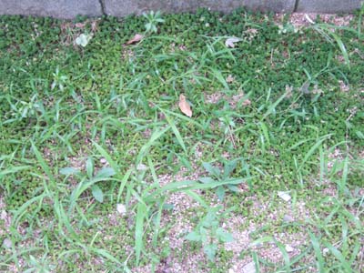 f0008935_14442981.jpg
