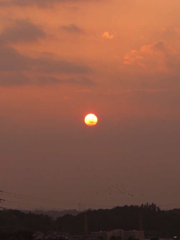 b0029438_1411374.jpg