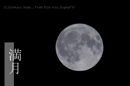 c0046340_2359417.jpg