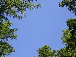 f0065941_0242921.jpg
