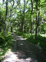 f0065941_071621.jpg