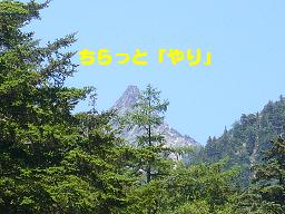 f0065941_09527.jpg