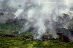 c0015444_1250666.jpg
