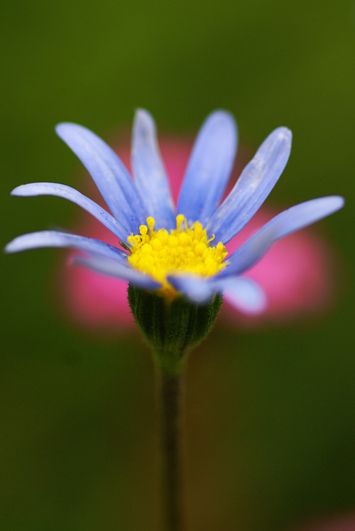 a0003746_1643684.jpg