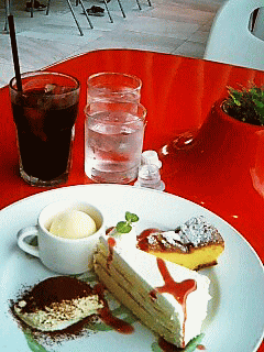 b0010246_18382121.gif