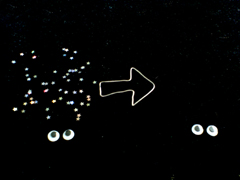 e0005548_926264.jpg