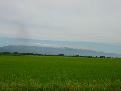 d0024864_13121282.jpg