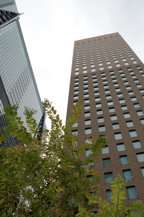 f0065768_19532698.jpg