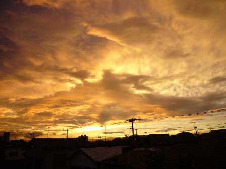 b0069169_16112086.jpg