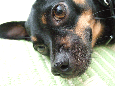 c0012571_17124334.gif
