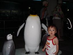 e0089272_15111065.jpg
