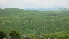 b0042882_2211106.jpg