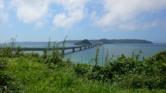 b0042882_22172190.jpg
