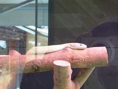 b0042882_23301134.jpg