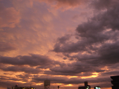 e0030085_170308.jpg