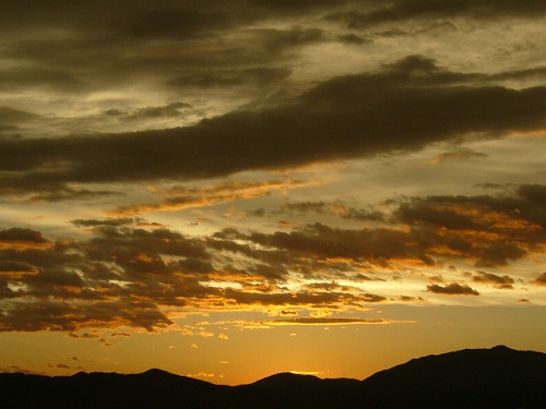 b0080789_17212711.jpg