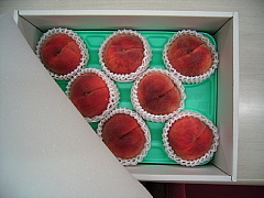 c0039501_19392473.jpg