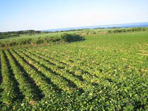 b0076710_13582938.jpg