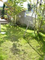 e0044919_1740779.jpg