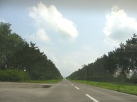 d0006323_1123072.jpg