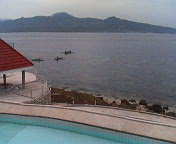 e0002927_782547.jpg