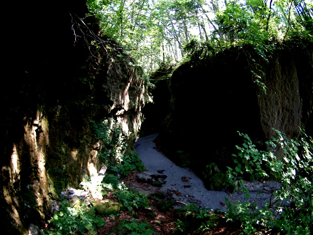 f0046128_0183394.jpg
