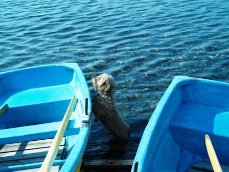 f0046128_23201294.jpg