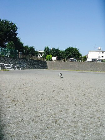 b0085331_9414235.jpg