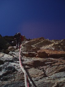 e0039531_4441145.jpg
