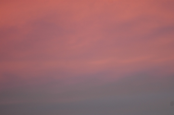 a0017634_831218.jpg