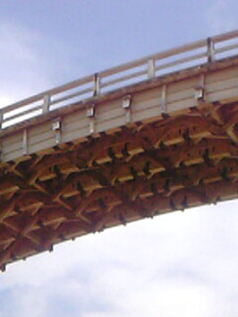 c0031839_20413183.jpg