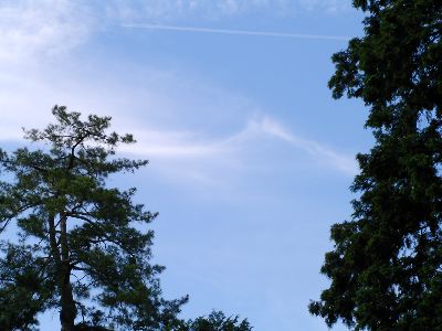 a0037445_2340298.jpg