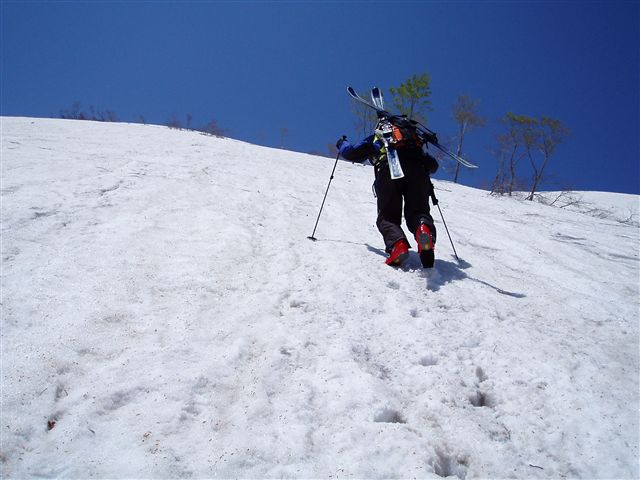 c0081645_19244690.jpg