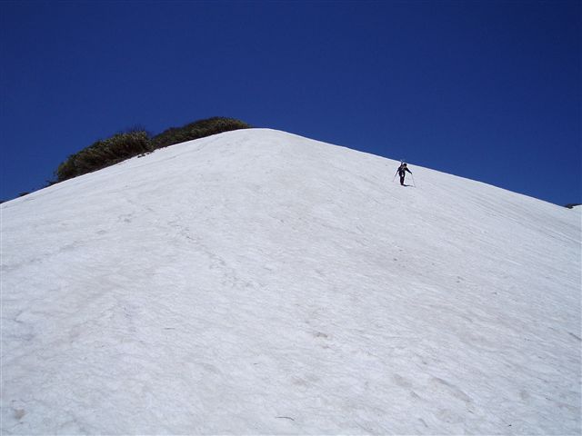 c0081645_19254921.jpg