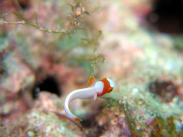 d0065247_22514864.jpg