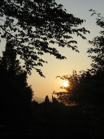 e0085147_4591.jpg