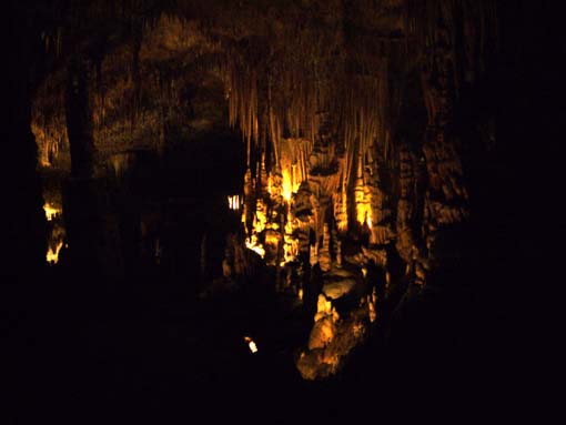c0006748_20411430.jpg