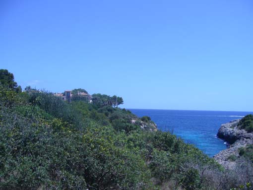 c0006748_20412967.jpg
