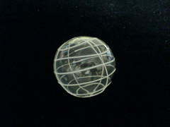 e0005548_18138.jpg