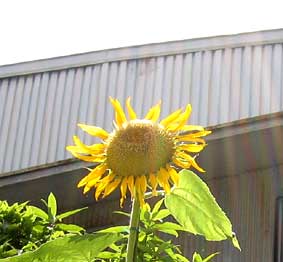 b0057679_9275960.jpg